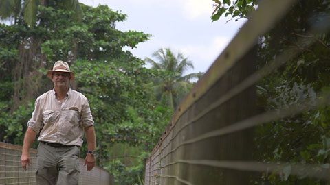 Thumbnail image for Le saphir du Sri Lanka