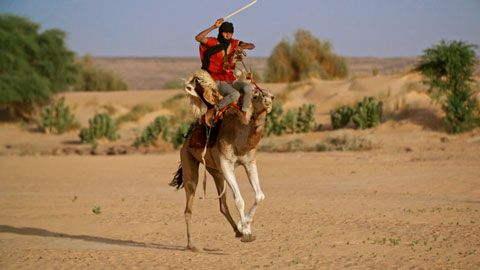 Thumbnail image for Les sentinelles de la Mauritanie