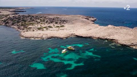 Thumbnail image for Les sentinelles de la Méditerranée