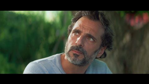 Thumbnail image for Les violences faites aux femmes