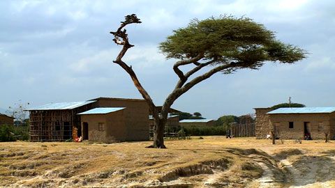 Thumbnail image for Un café qui réveille l'Éthiopie